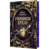 Insel Verlag Frankenstein oder Der moderne Prometheus: