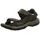 Teva Langdon walnut 40,5