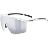Uvex mtn Perform Multisportbrille Vollrand Weiß
