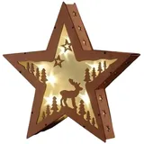 Gravidus Weihnachtsstern 10 LED Warmweiß