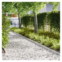 vidaXL Raseneinfassung 100 x 0,05 x 20 cm 20 Stück Silber