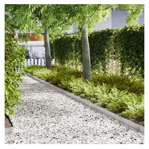 vidaXL Raseneinfassung 100 x 0,05 x 20 cm 20 Stück Silber