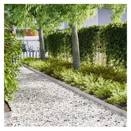 vidaXL Raseneinfassung 100 x 0,05 x 20 cm 20 Stück Silber