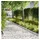 vidaXL Raseneinfassung 100 x 0,05 x 20 cm 20 Stück Silber