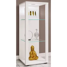 VCM Holz Glas Stand Vitrine Sammelvitrine Glasol M
