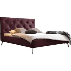 Polsterbett 3C CANDY "Beatris in 4 Breiten bis 200cm, Samtoptik", rot (bordeaux), L:215cm, Samtoptik (100% Polyester), Betten, mit Rückensteppung, belastbar bis 260kg, auch in Überlänge 220 cm