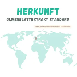 sinoplasan gmbh Olivenblatt Extrakt Sparflasche