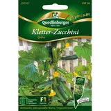 Quedlinburger Kletter-Zucchini Quine Loses Saatgut
