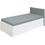 Paidi Funktionsbett Flynn 100 x 200 cm Dekor Grau, Weiß Grau /