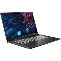 CAPTIVA Power Starter I98-979GE 17,3'' Intel Core i5-1335U 16 GB RAM 1 TB SSD ohne Betriebssystem