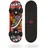 Donic Schildkröt Mini Skateboard 17 Zoll Schwarz