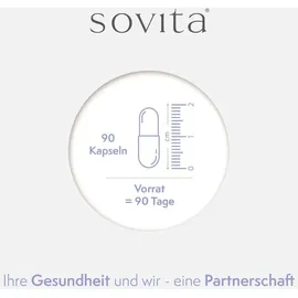 Sovita Ginkgo Kapseln 90 St.