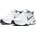 White/Metallic Silver