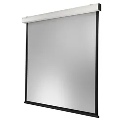 celexon Leinwand Motor Expert XL 400 x 400 cm
