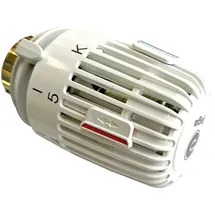 Glen Dimplex Thermostatkopf Heizen TKH WPHK