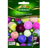 Quedlinburger Sommerastern ''Lady Coral Mischung''