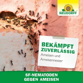 NEUDORFF SF-Nematoden gegen Ameisen 10 Mio. St.
