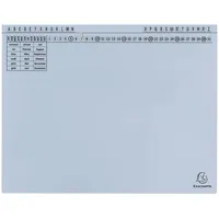 Exacompta 25x Exaflex Standard, Hängehefter mit 1x Abheft, Hellblau,