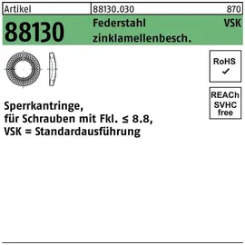 Industrial Quality Supplies Sperrkantringe Federstahl VSK 4 flZnnc flZnnc S