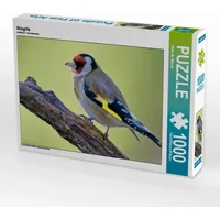 Calvendo Puzzle Stieglitz 1000 Teile Puzzle quer | 1000