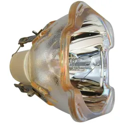 Beamerlampe (nur Leuchtmittel) für 3D PERCEPTION (ersetzt: HD42lamp)