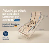 Betten-ABC Max1 Elektro Motorrahmen elektrisch verstellbar 90 x 220 cm