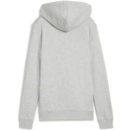 Puma Hoodie Grau XXL
