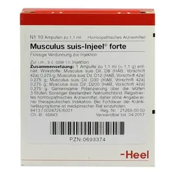 Musculus suis Injeel forte Ampullen