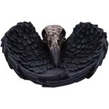 Nemesis Now Edgar Allen Poe's Nevermore Raven Skull Schmuckhalter Schmuckschale, schwarz, 17 cm