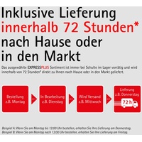 Schulte Walk In 90 x 40 x 200 cm MasterClass