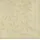 Papstar 50 Servietten "ROYAL Collection" 1/4-Falz 40 cm x 40 cm champagner Mediterran",