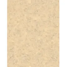 Marburg Fototapete Grafisch Modern 3,4 m x 2,65 m Beige FSC®