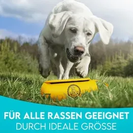 HUND IST KÖNIG HUND IST KÖNIG® Futterbeutel - Apportierbeutel für mit Handschlaufe 1 St