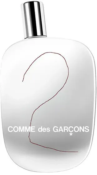 Comme des Garçons 2 Eau de Parfum 100 ml
