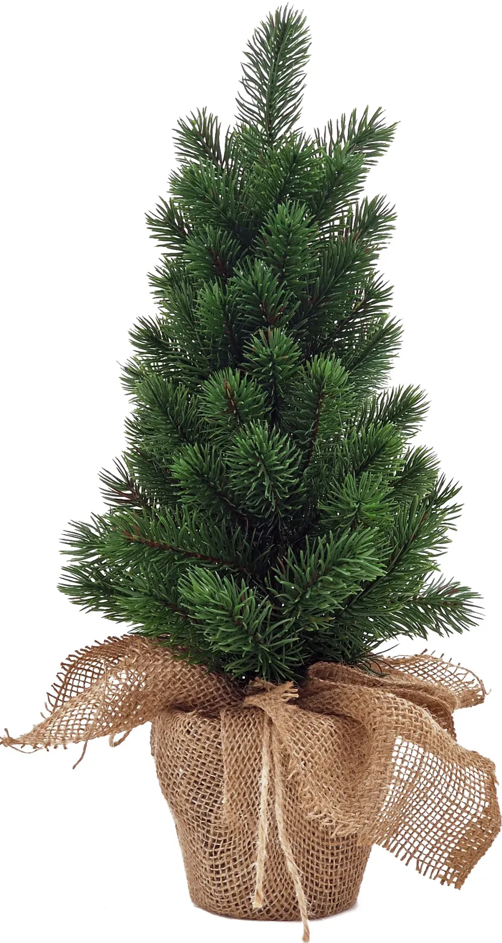 Kleine Kiefer künstlich im Topf mit Jute - Weihnachtsbaum Tannenbaum Christbaum 45 cm