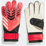adidas Predator Training Black/Lucid Red/Black 11
