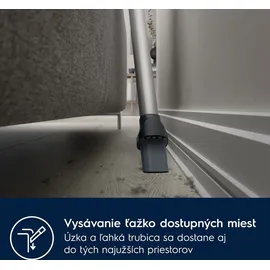 Electrolux EP71B14WET Besenstaubsauger - Blue