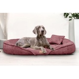 tierlando® Orthopädisches Hundebett Xenia | Kuschelig Flauschiges Hundesofa | Waschbar | Memory Foam XXL | Nude