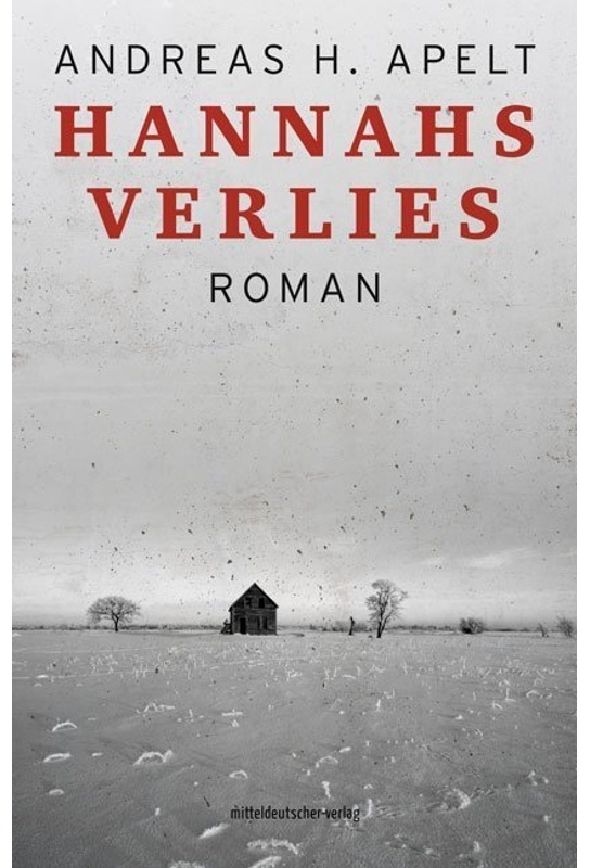 Hannahs Verlies - Andreas H. Apelt, Kartoniert (TB)