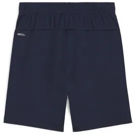 Puma teamGOAL Blau 164
