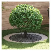 vidaXL geeignet für flache Baumringe 5 pcs Silber Ø90 / 120 cm Edelstahl