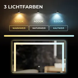 bringer-germany Bringer Badspiegel mit Beleuchtung - BRS105 - 120x60 cm