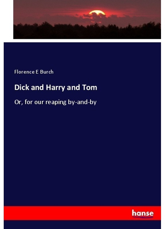 Dick And Harry And Tom - Florence E Burch, Kartoniert (TB)