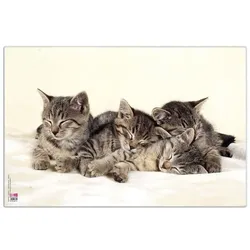 Veloflex Schreibtischunterlage »Katzen«, 50x35 cm