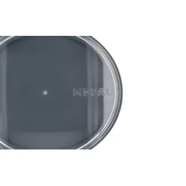 Mepal Ellipse silver 0,7 l