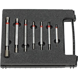 FORTIS Gew.-Grenz-LD-Satz M3-M12 6H