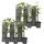 Plant in a Box - Wilder Wein - 6 Stk - Parthenocissus quinquefolia - Höhe 25-40cm - Topf 9cm