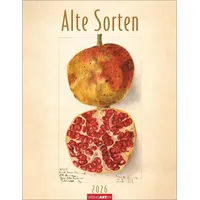 Weingarten Alte Sorten Kalender 2026 / Weingarten
