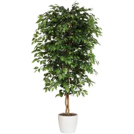 Creativ green Kunstpflanze CREATIV GREEN "Ficus Benjamini", grün, H:120cm, Kunststoff, Polyester, Kunstpflanzen, Kunstpflanze