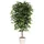 Creativ green Kunstpflanze CREATIV GREEN "Ficus Benjamini", grün, H:120cm, Kunststoff, Polyester, Kunstpflanzen, Kunstpflanze